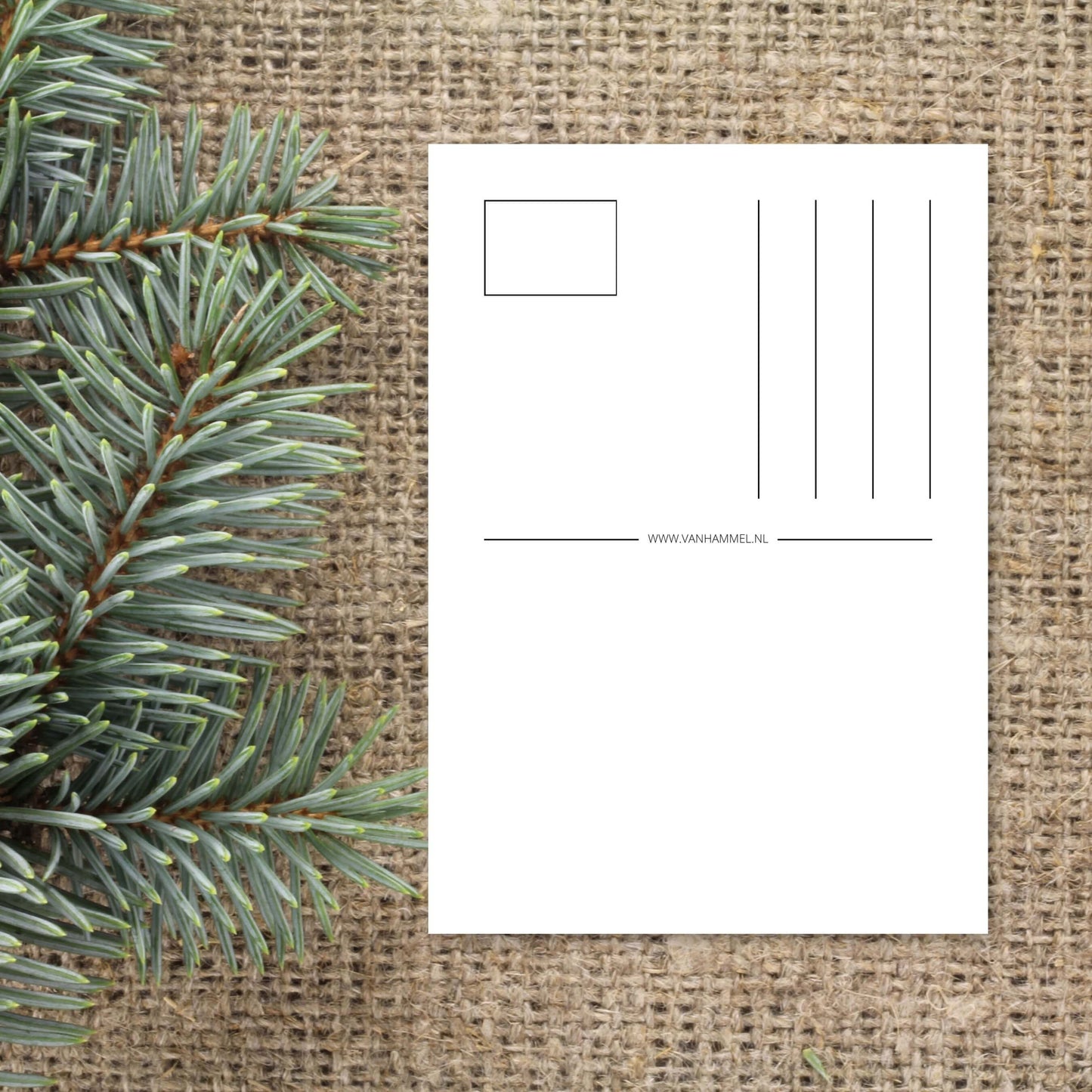 Christelijke Kerstkaart | Glory To The Newborn King