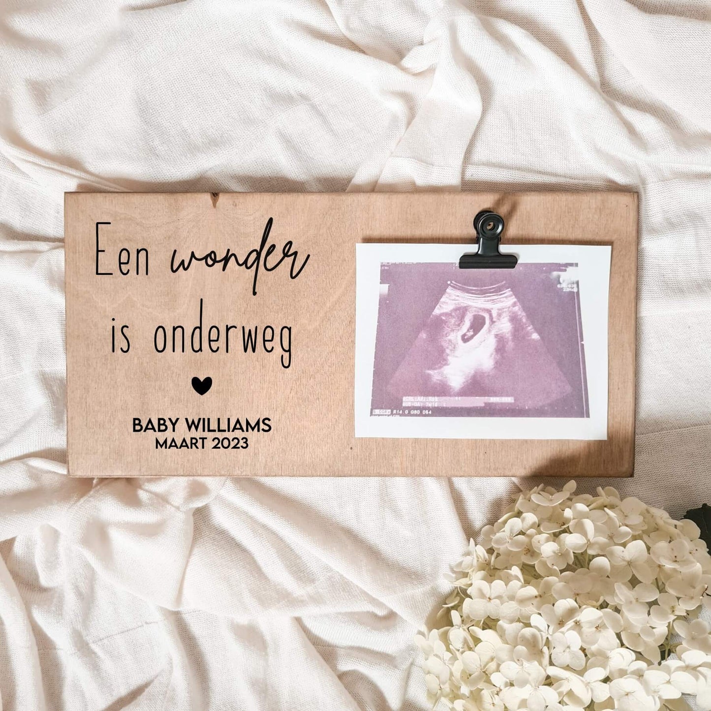 Echoplankje | Een Wonder Is Onderweg