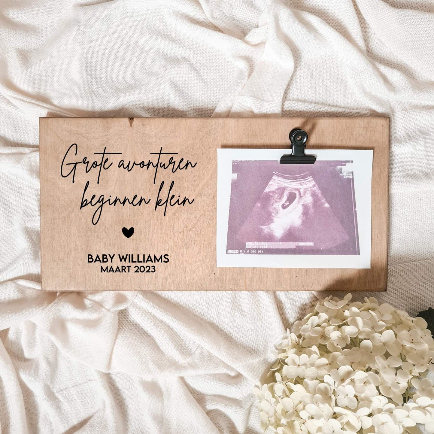 Echoplankje | Grote Avonturen