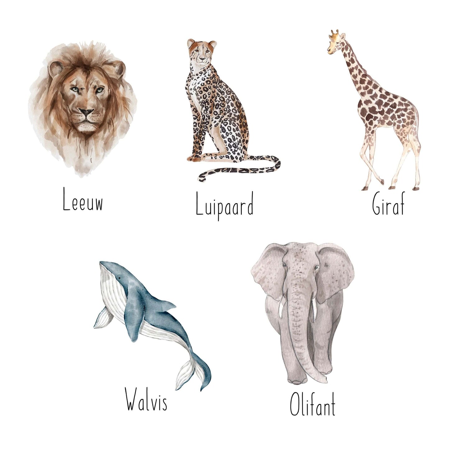 Geboorteposter | Wilde Dieren
